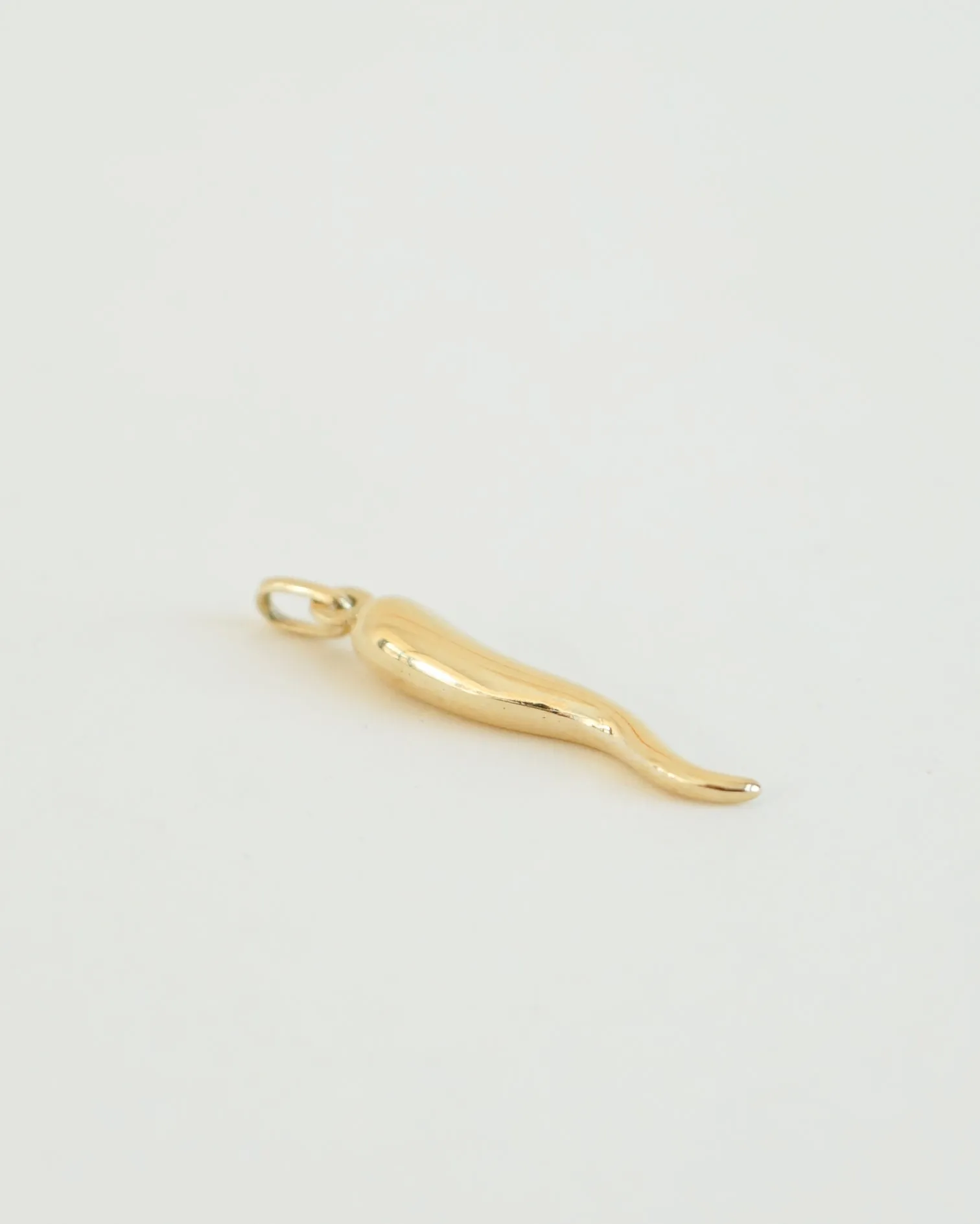 14k Gold Horn Charm