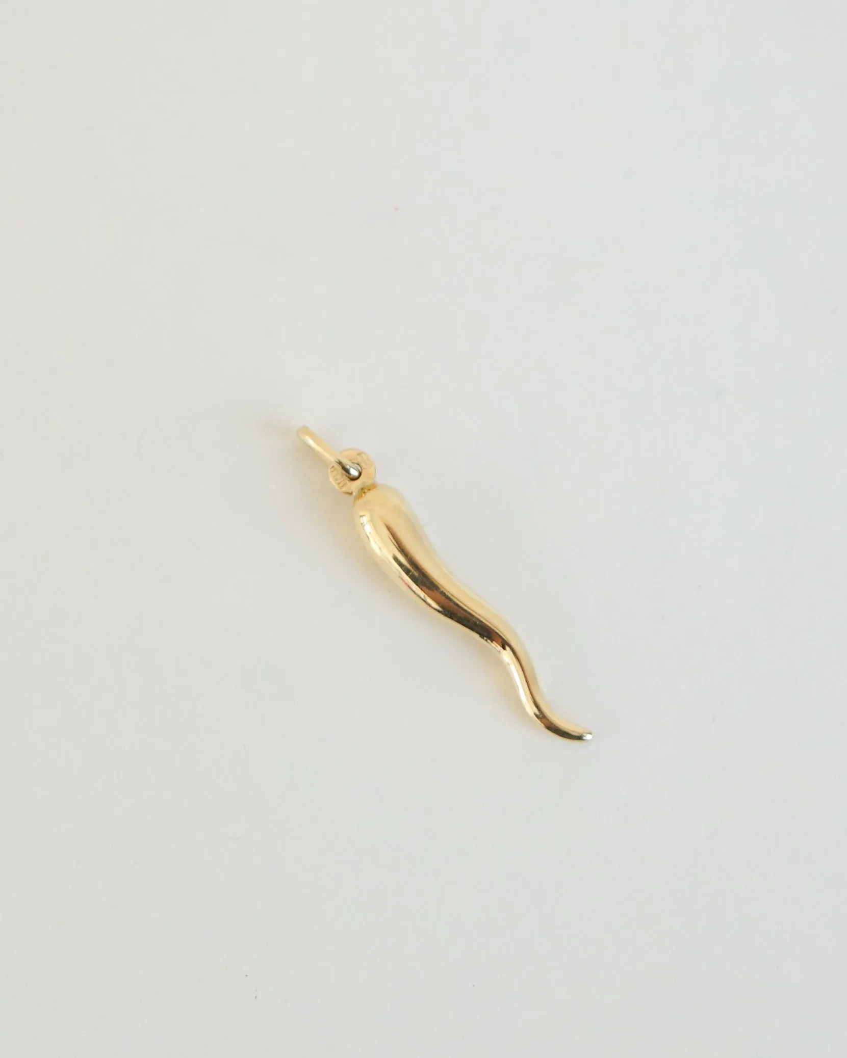 14k Gold Horn Charm