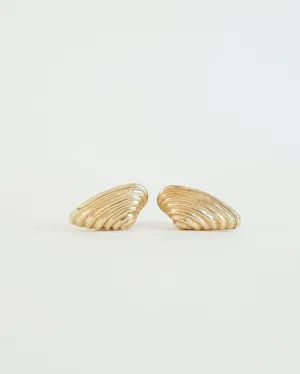 14k Gold Shell Earrings
