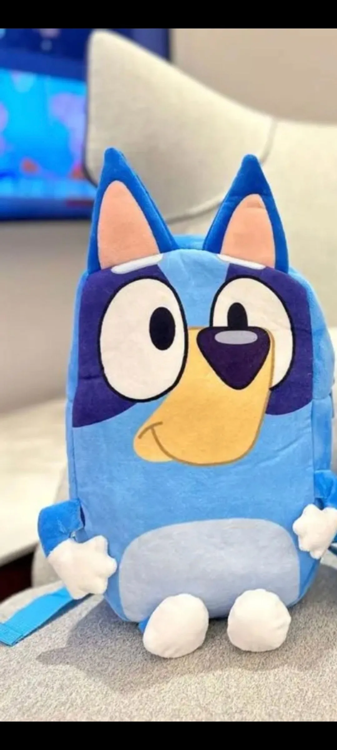 Bluey Character kids backpack