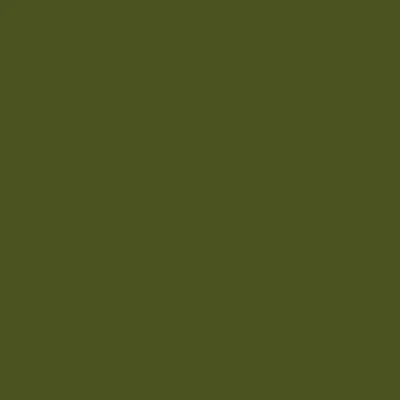 Ceylon Top