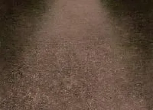 Cherish Trail Floor-rf