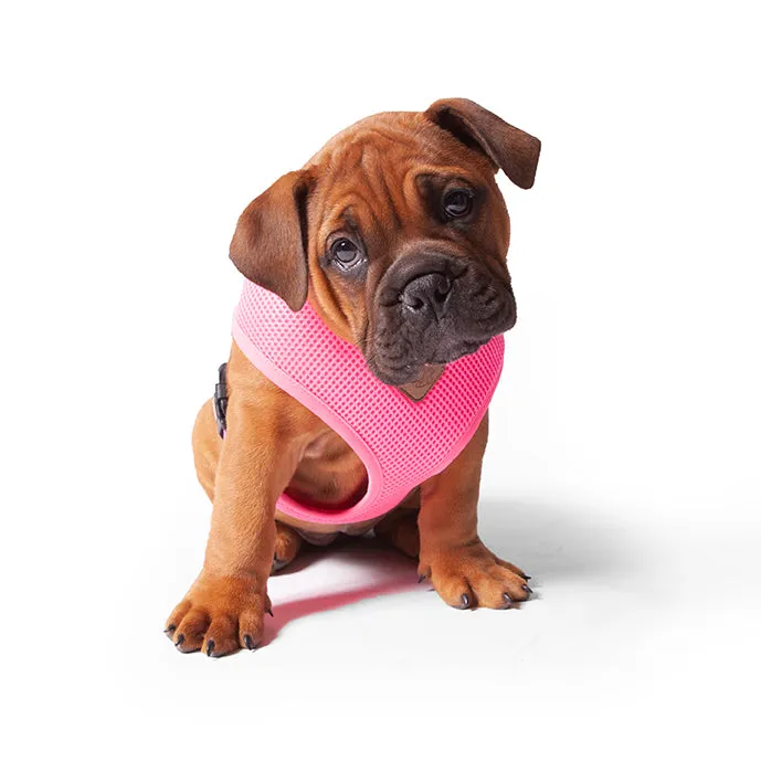 Classic Soft Walking Dog Harness - Pink