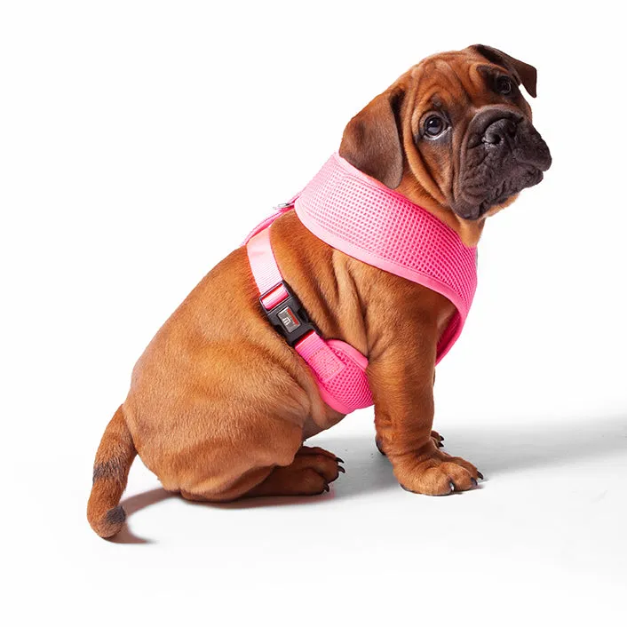 Classic Soft Walking Dog Harness - Pink