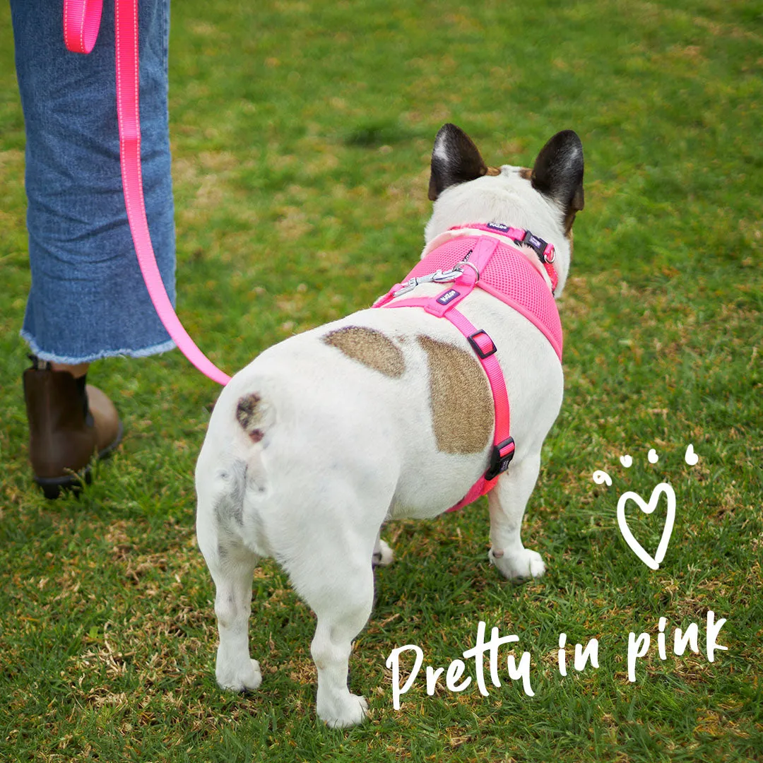 Classic Soft Walking Dog Harness - Pink