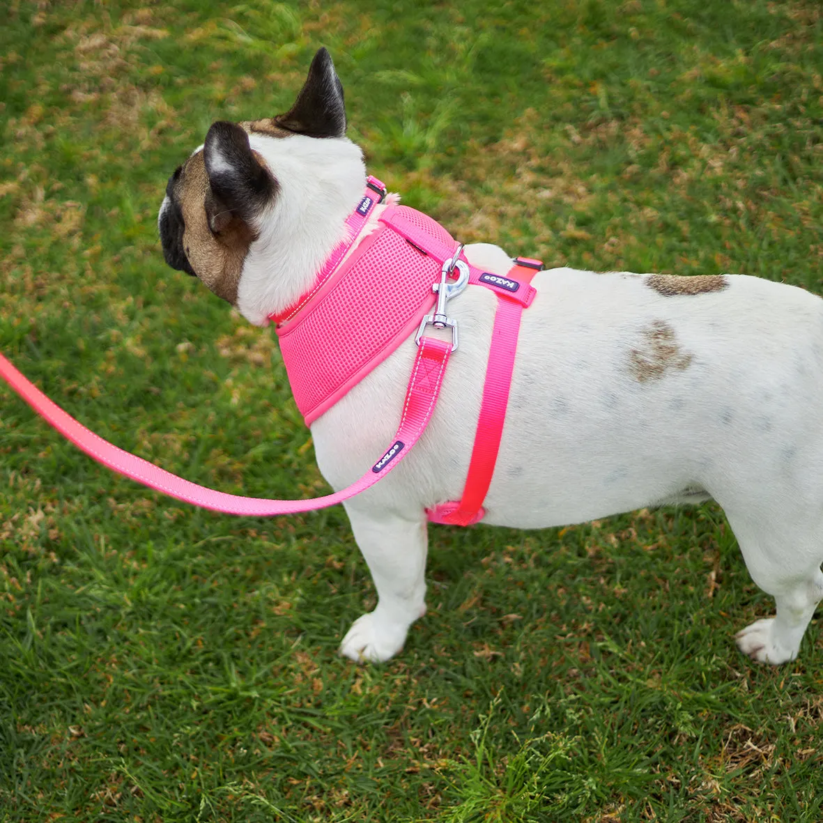 Classic Soft Walking Dog Harness - Pink