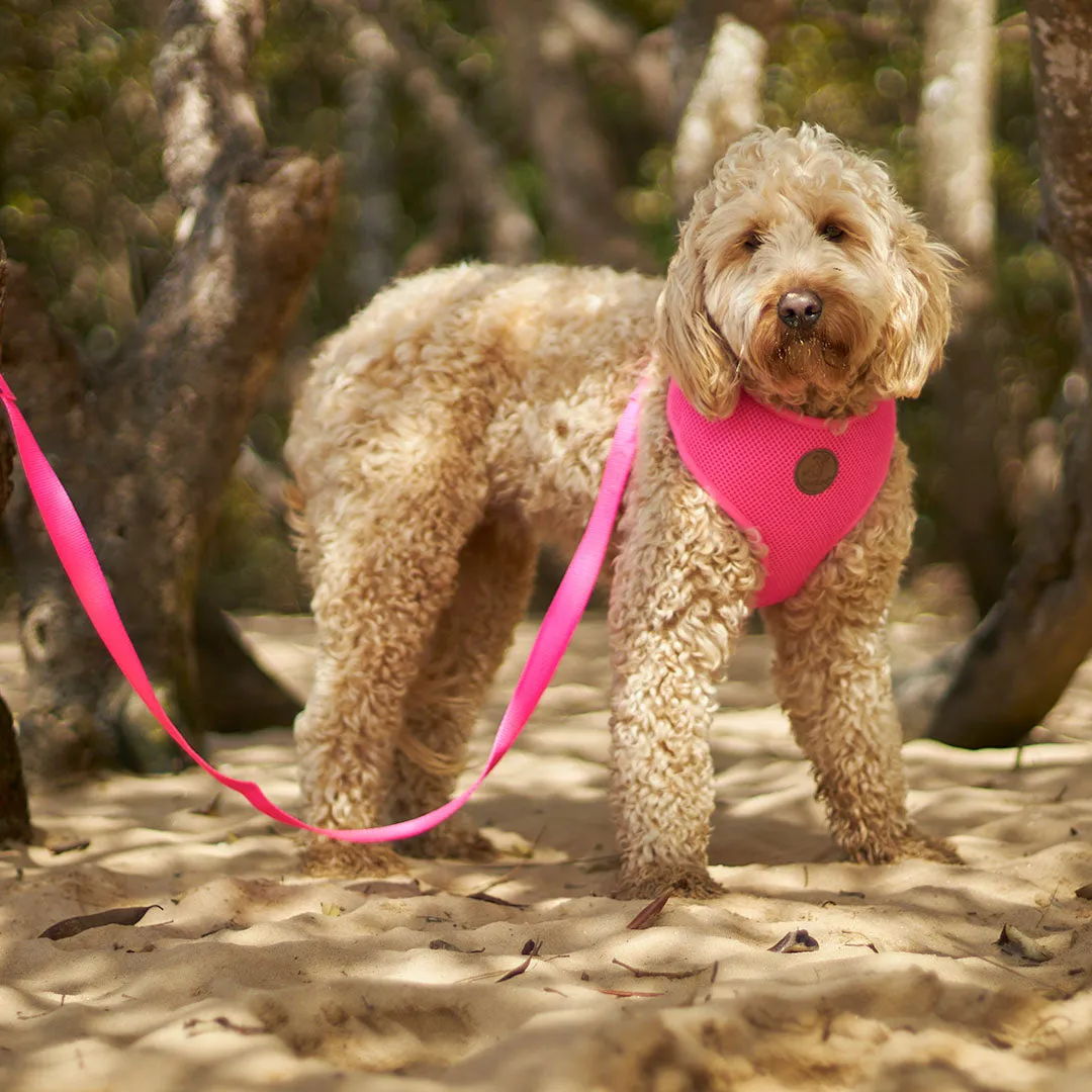 Classic Soft Walking Dog Harness - Pink