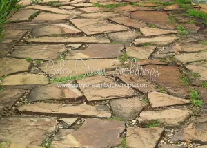 Happy Haunted Path Floor-rf