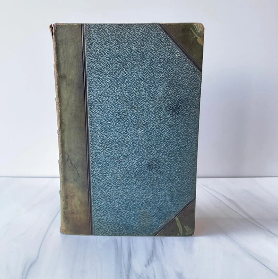 ^Martin Chuzzlewit/ Tale of Two Cities