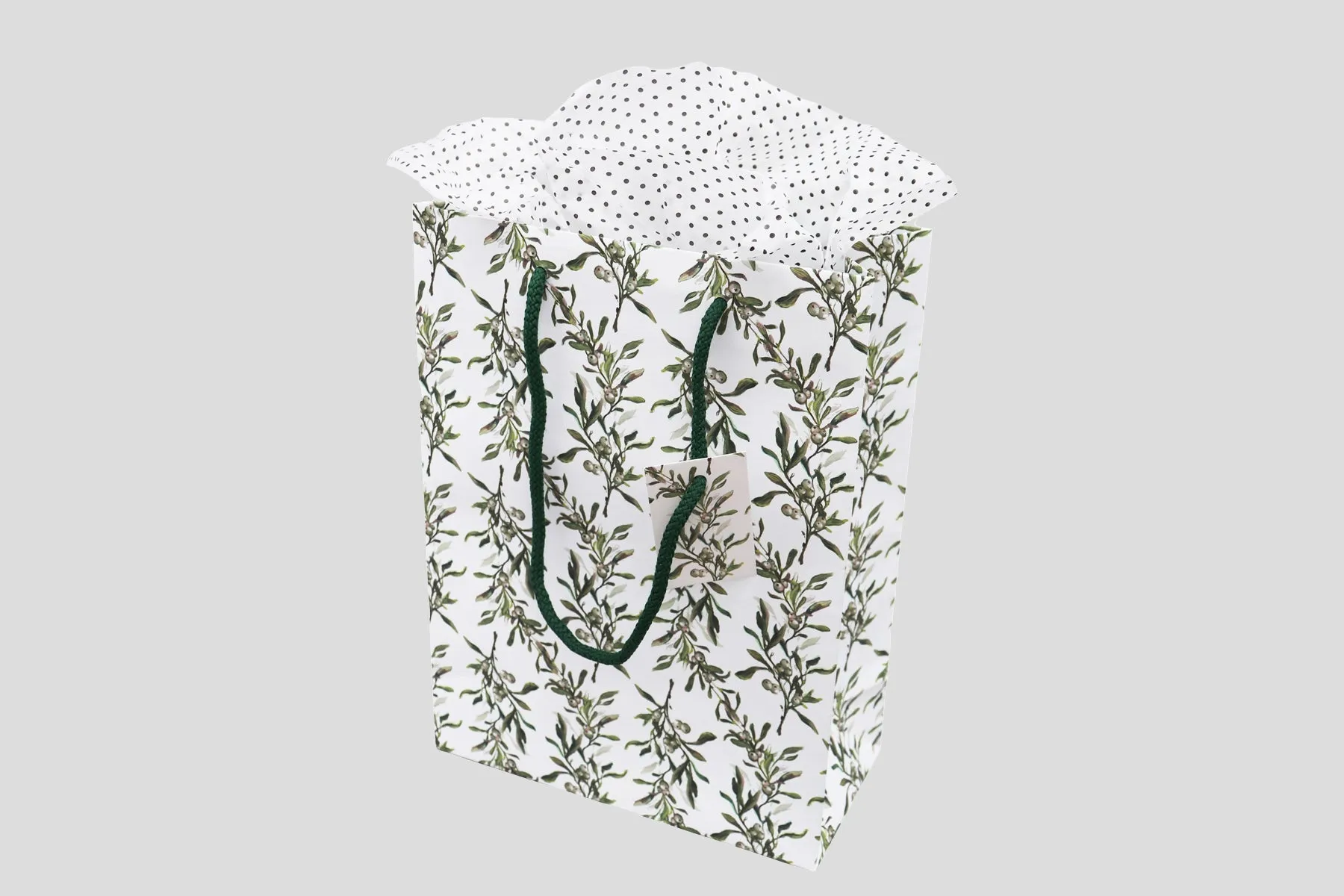 MISTLETOE GIFT BAG