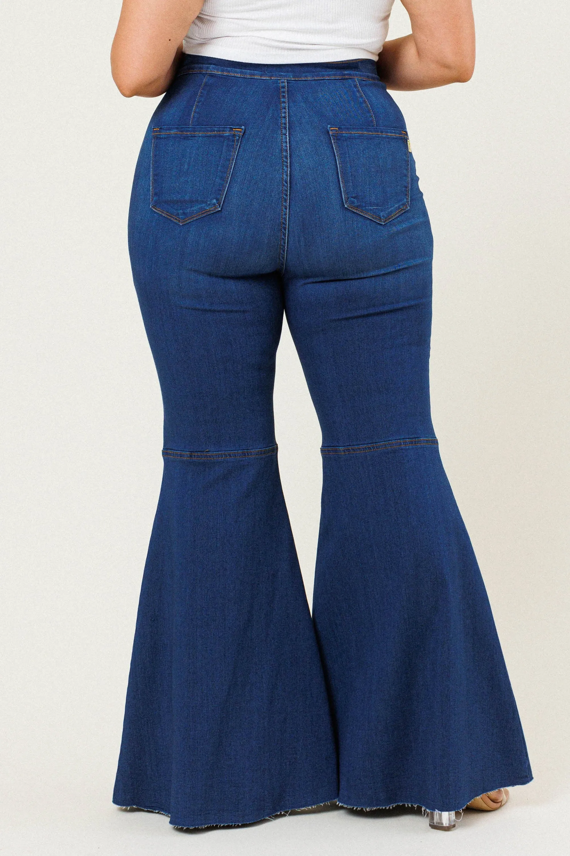 PLUS Vibrant Flare Jeans