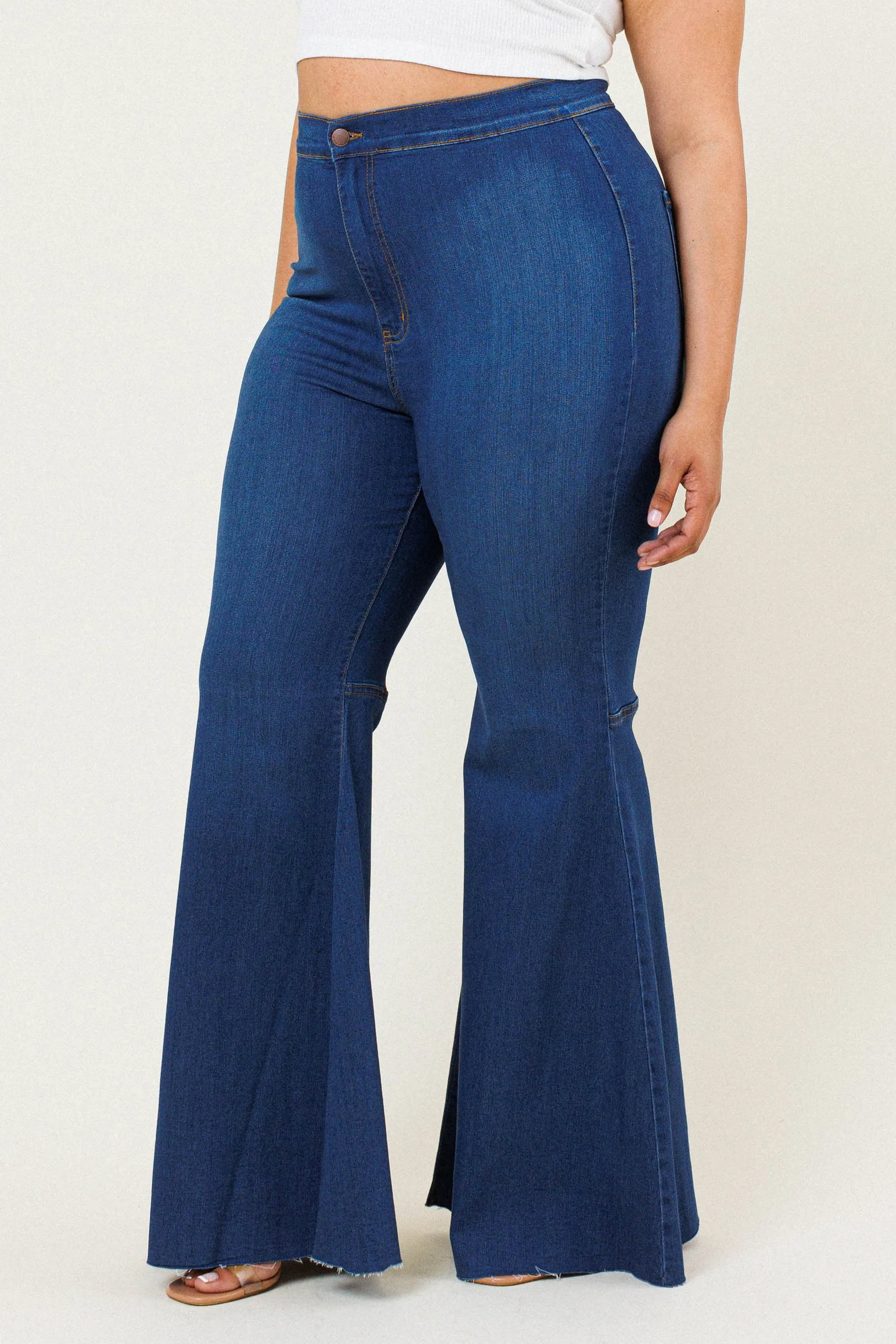 PLUS Vibrant Flare Jeans