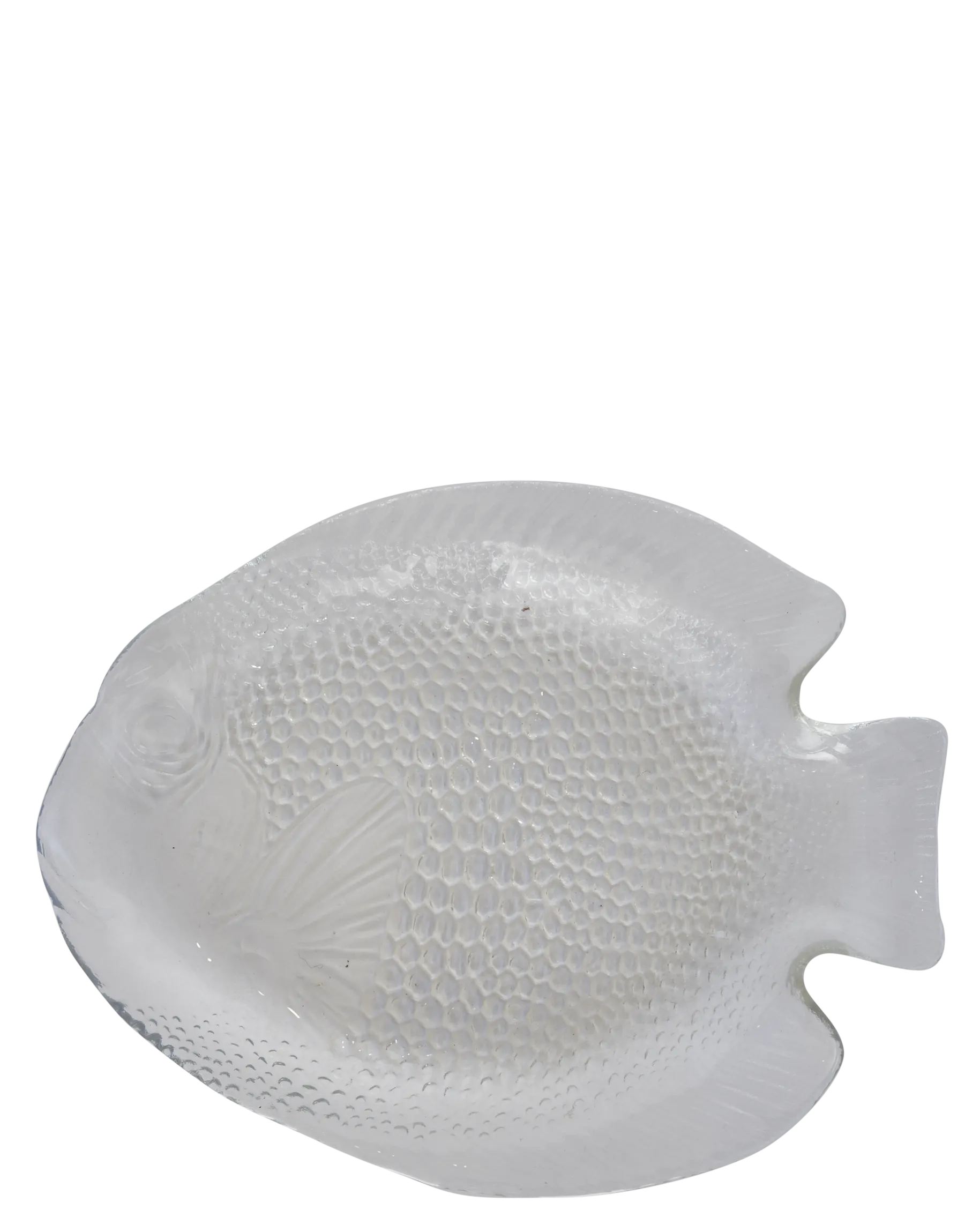 Poisson Glass Plate