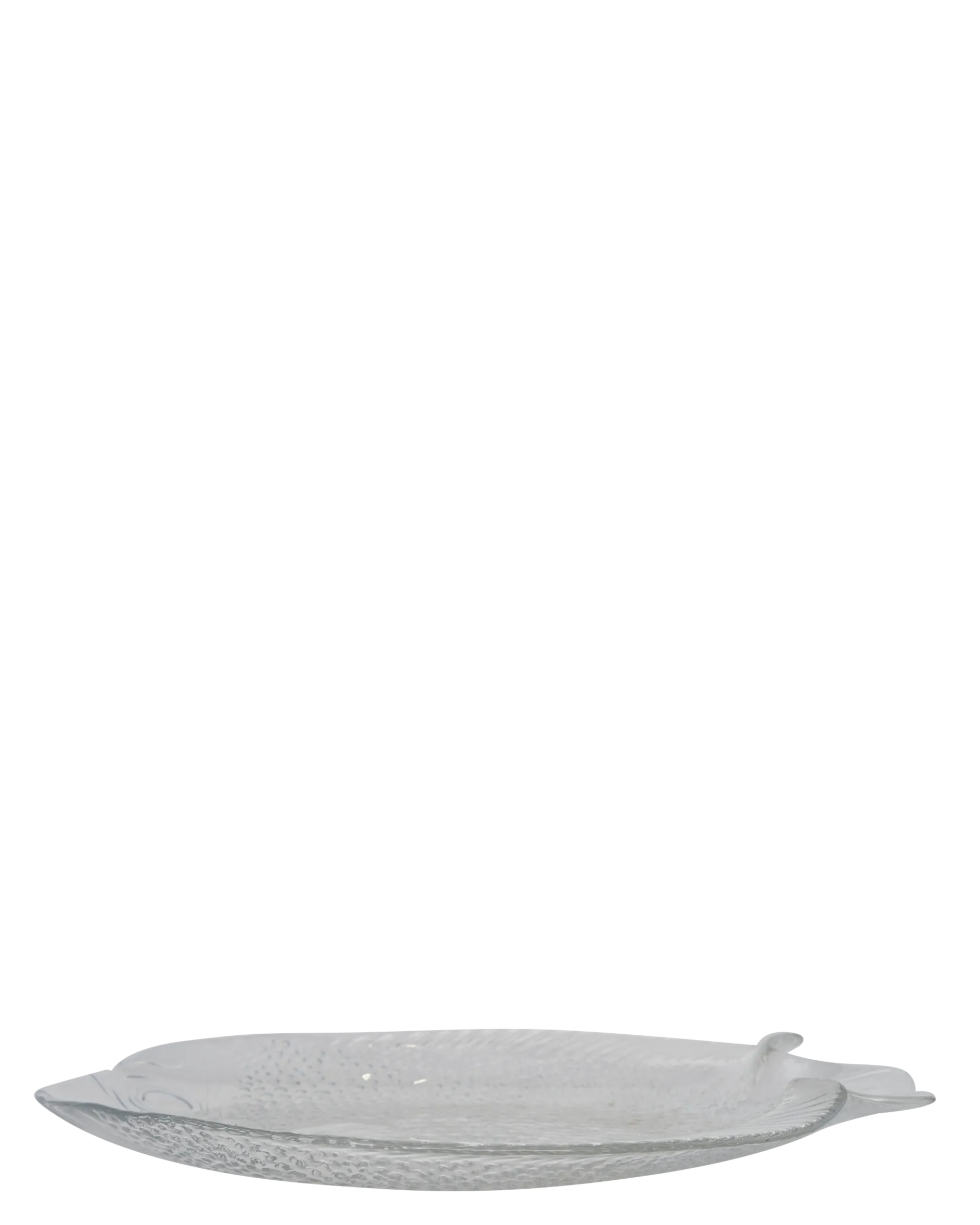 Poisson Glass Plate