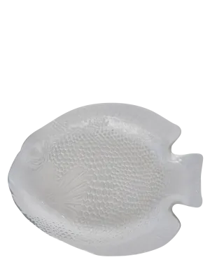 Poisson Glass Plate