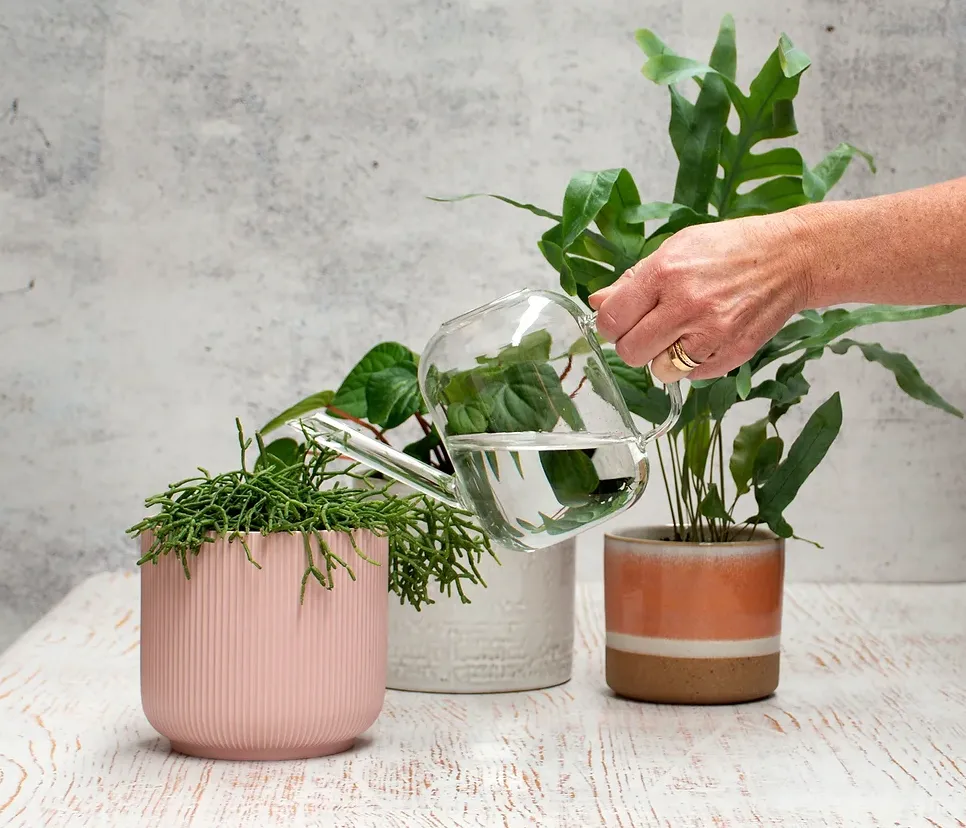 SteadySticks Glass Watering Can
