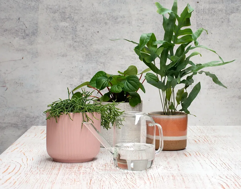 SteadySticks Glass Watering Can
