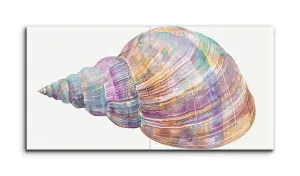 Vibrant Seashell: Realism Meets Impressionism