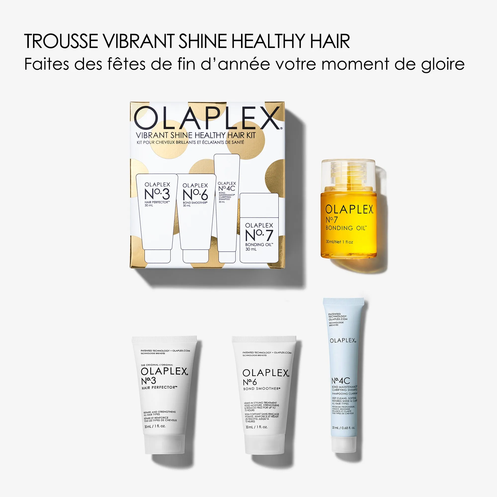 VIBRANT SHINE HEALTHY HAIR KIT