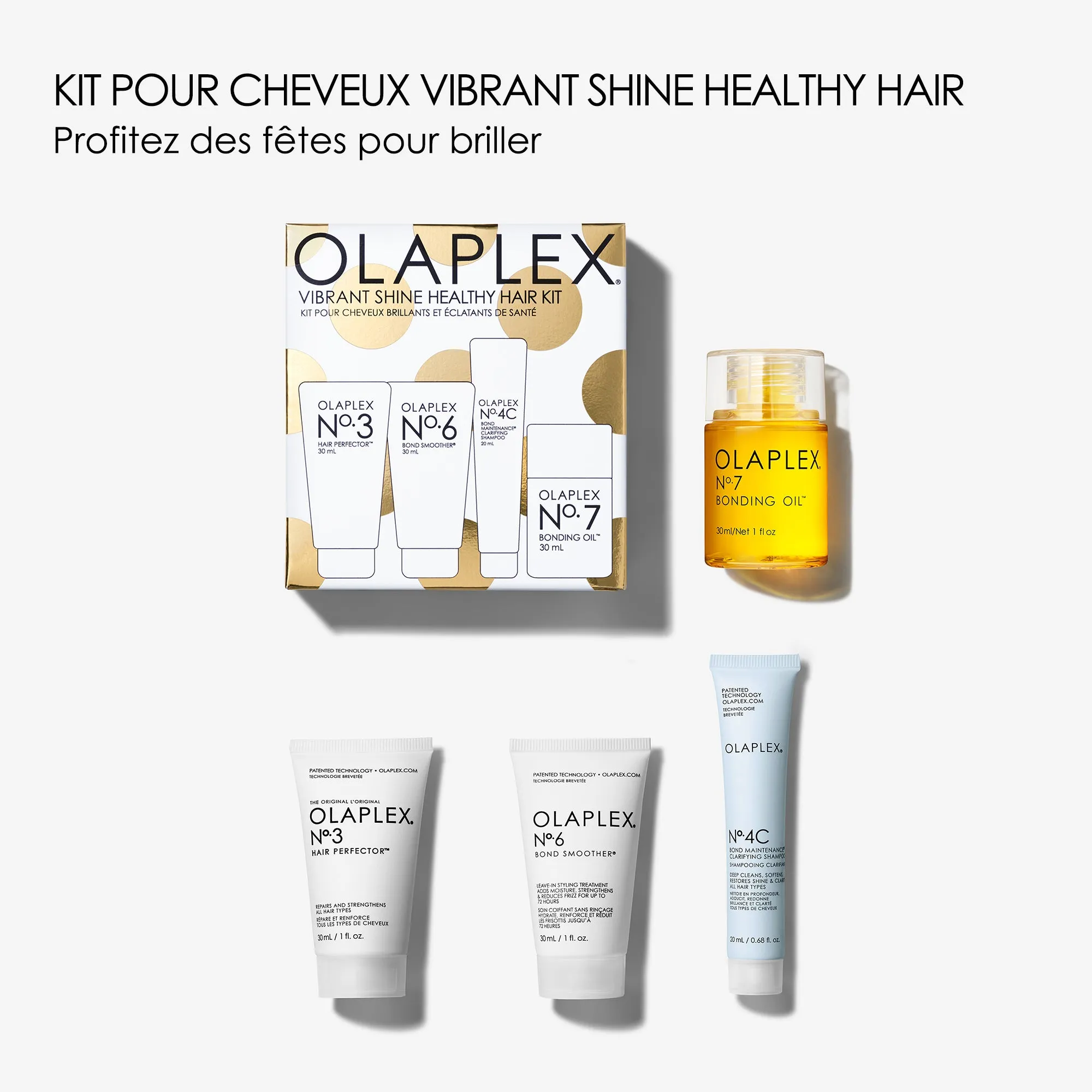 VIBRANT SHINE HEALTHY HAIR KIT
