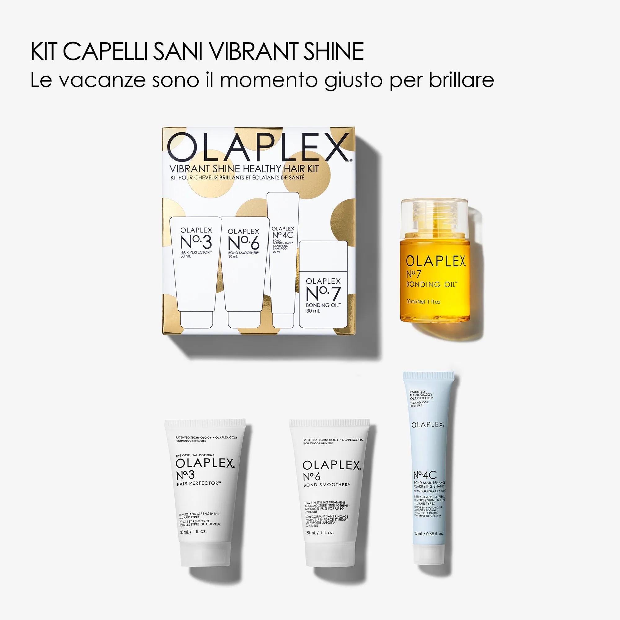VIBRANT SHINE HEALTHY HAIR KIT