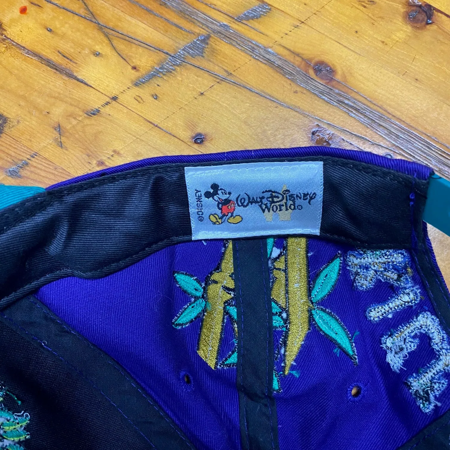 Vintage Disney's Animal Kingdom Snapback