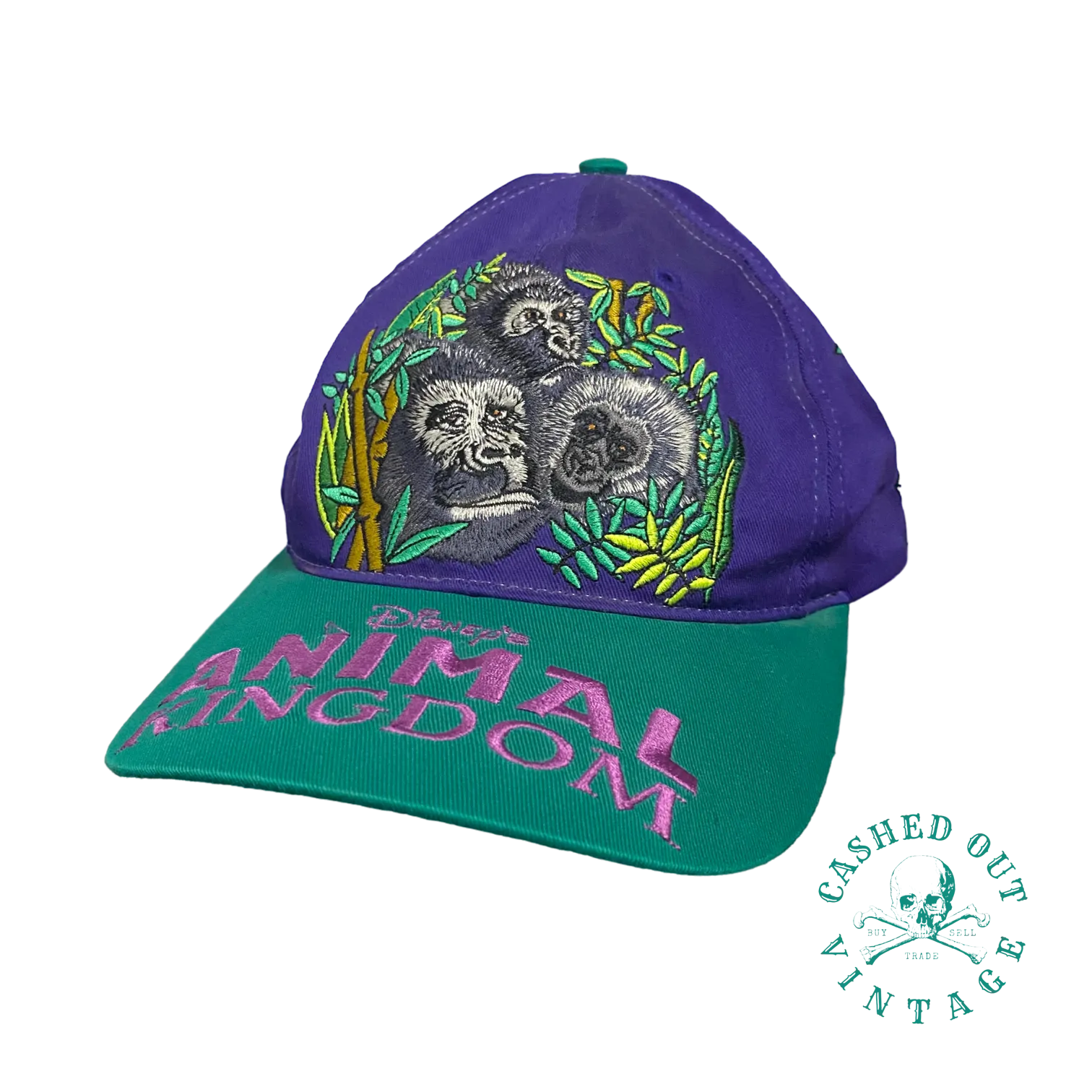 Vintage Disney's Animal Kingdom Snapback