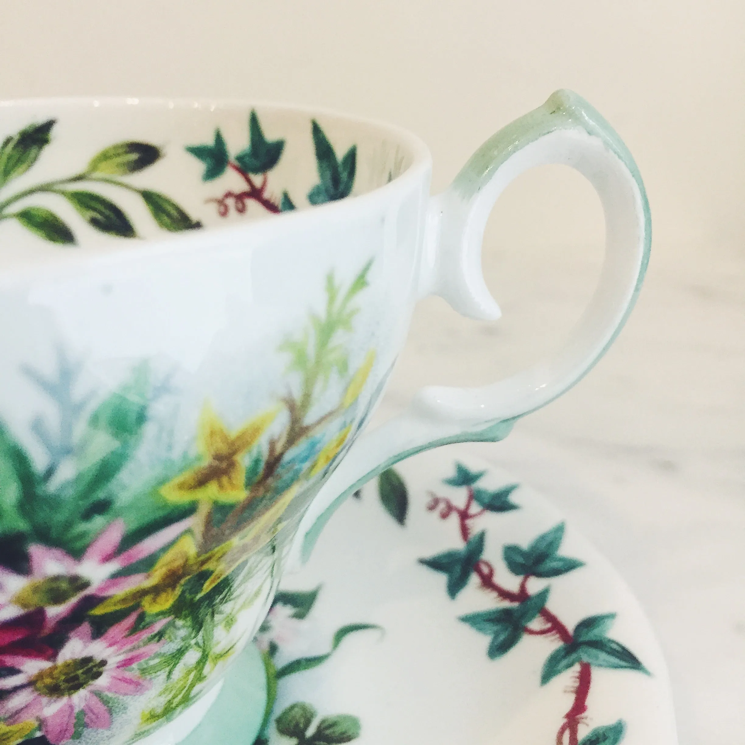 Vintage Queen Anne Fedden Ivy Garden Teacup & Saucer
