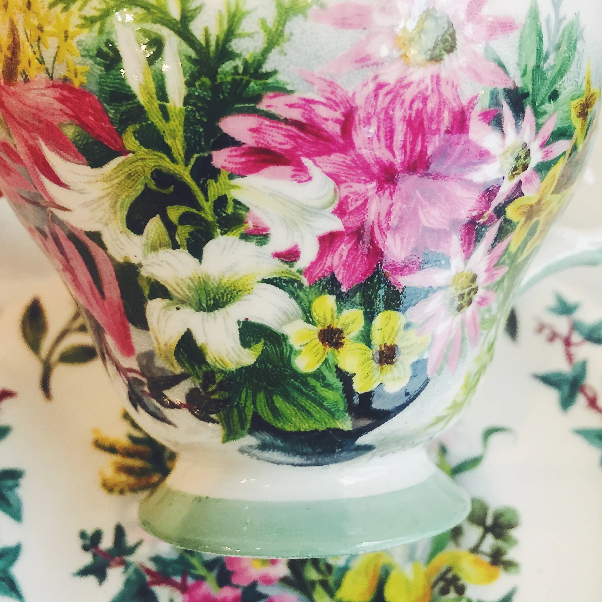 Vintage Queen Anne Fedden Ivy Garden Teacup & Saucer